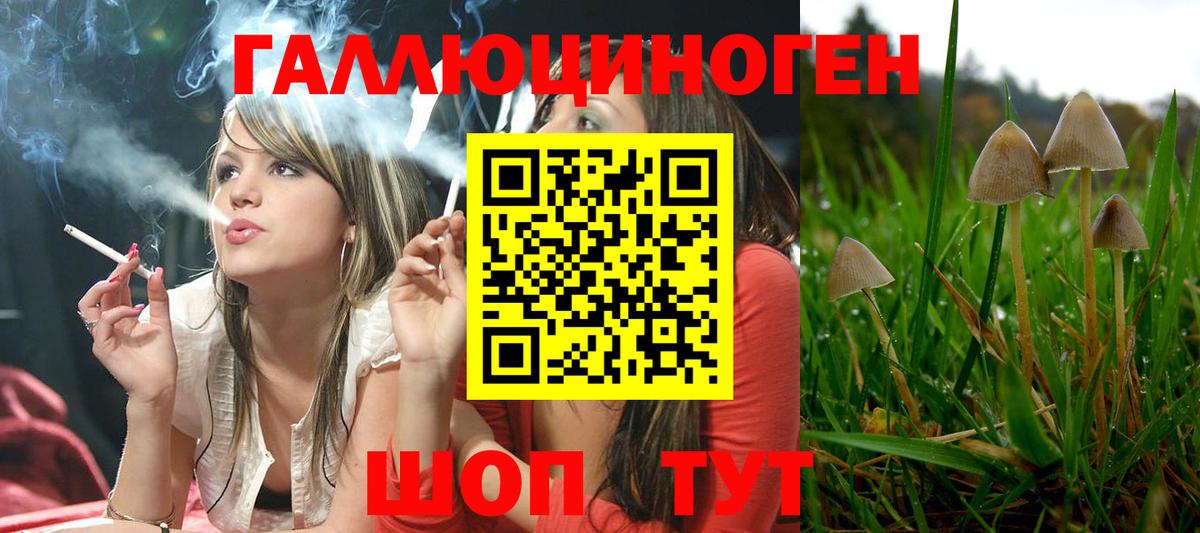 Псилоцибиновые грибы MAGIC MUSHROOMS  где купить наркотик  Богданович  Вход с VPN 